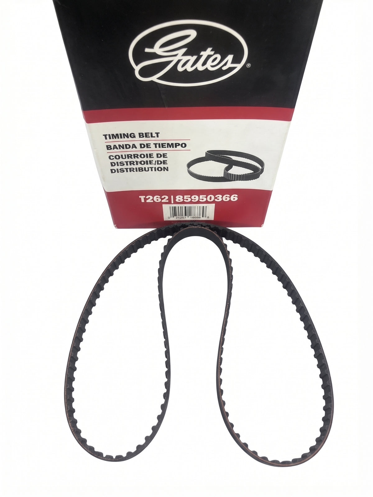 GATES Banda de distribución T262